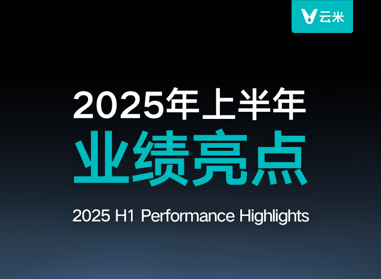 2025年上半年业绩亮点